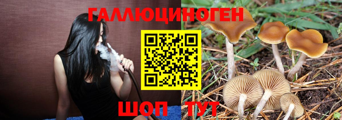 Галлюциногенные грибы Psilocybine cubensis  даркнет сайт  Южноуральск  Вход с VPN 